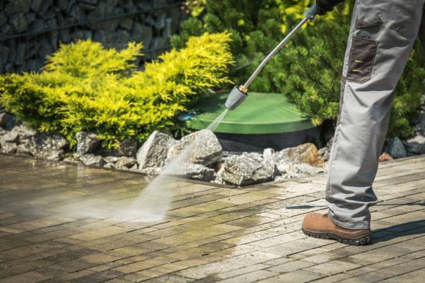 Best Solar Panel Cleaning  in Rio Dell, CA